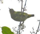 DSC_3005b.jpg