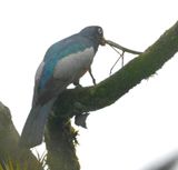 DSC_3017b.jpg