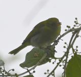 DSC_3059b.jpg