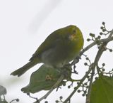 DSC_3060b.jpg