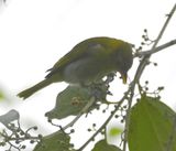 DSC_3061b.jpg
