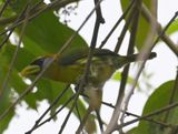 DSC_3075b.jpg
