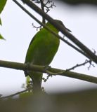 DSC_3086b.jpg