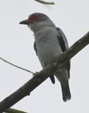 DSC_3137b.jpg