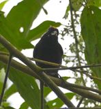 DSC_3147b.jpg
