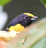 DSC_3161b.jpg