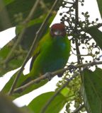 DSC_3170b.jpg