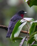 DSC_3173b.jpg