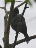 DSC_3203b.jpg