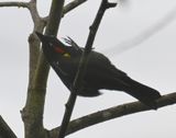 DSC_3206b.jpg