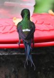 DSC_3354b.jpg