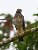 DSC_3405b.jpg