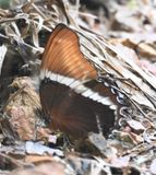 DSC_3490b.jpg