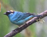 DSC_3527b.jpg