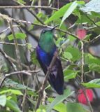 DSC_3772b.jpg