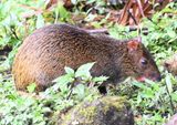 DSC_3804b.jpg