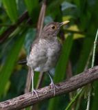 DSC_3816b.jpg