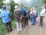 IMG_6073b.jpg