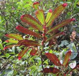 IMG_6079b.jpg