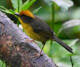 DSC_3874b.jpg