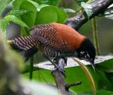 DSC_3877b.jpg