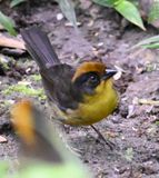 DSC_3880b.jpg