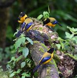 DSC_3942b.jpg