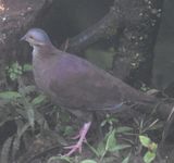 DSC_4026b.jpg