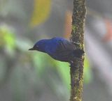 DSC_4150b.jpg