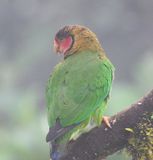 DSC_4245b.jpg