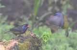 DSC_4260b.jpg