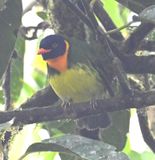 DSC_4305b.jpg