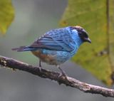 DSC_4511b.jpg