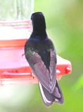 DSC_4620b.jpg