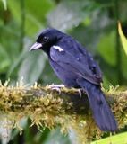DSC_4818b.jpg