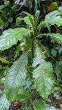 PXL_20240307_153050539b.jpg