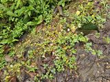 20240307_090151b.jpg