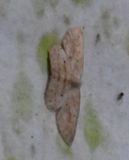 DSC_5001b.jpg
