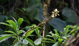 DSC_5039b.jpg