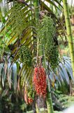 DSC_5041b.jpg