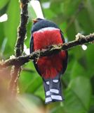 DSC_5098b.jpg