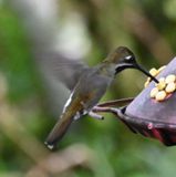 DSC_5160b.jpg