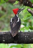 DSC_5498b.jpg