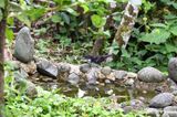 DSC_5558b.jpg