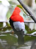 DSC_5706b.jpg