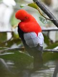 DSC_5715b.jpg