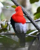 DSC_5724b.jpg