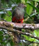 DSC_5760b.jpg