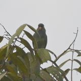 DSC_5828b.jpg