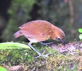 DSC_5857b.jpg